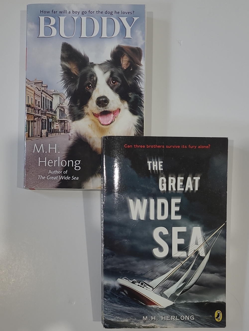 M. H. Herlong 2 Book Set - Buddy/The Great Wide Sea